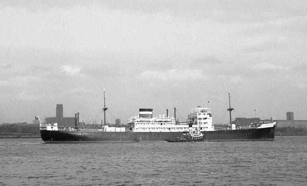 King City in the Mersey
