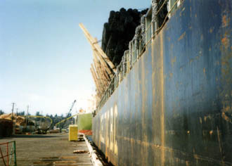 Shifted cargo as seen from the dock