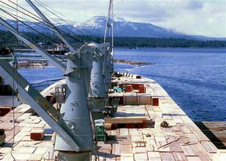 View of deck cargo
