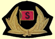 cap badge logo